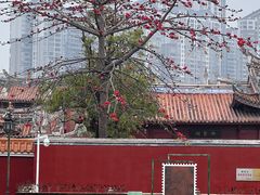 -揭阳学宫(榕城区)