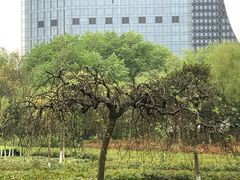 -白塘生态植物园