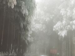 -武陵山森林公园