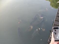 -圩墩遗址公园