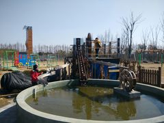 -上海长兴岛郊野公园