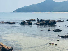 -西涌国际滨海旅游区