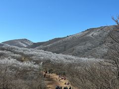 -安吉龙王山风景区