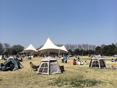 -石家庄市植物园