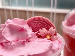 霸气樱花楂楂莓-奈雪的茶(市百一店)