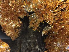 -青水瓦台汤泉(未央店)