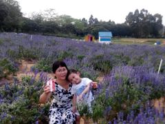 -松山湖梦幻百花洲