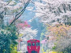 -居庸关长城