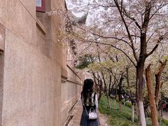 -武汉大学-樱园