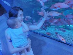 -太平洋海底世界