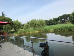 -银涛高尔夫练习场(徐泾店)