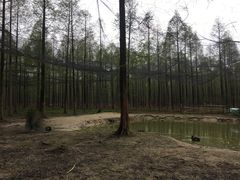 -黄海国家森林公园