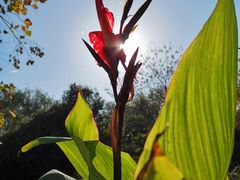 -洛阳市隋唐城遗址植物园