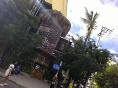 -Rainforest