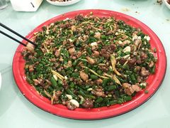 -东吴霸王兔(松青路店)