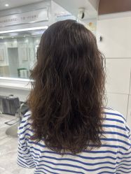 -镁连社·美联社