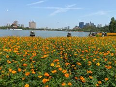 -顺峰山公园