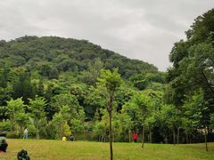-云溪植物园