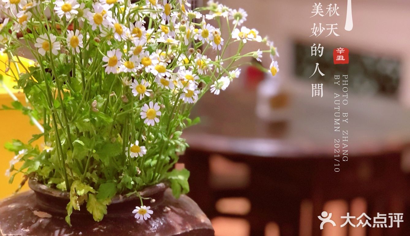 海边不只有海鲜，也可以古风品茗