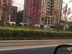 -Bco豆库(星耀天地店)