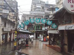 -猫咪博物馆(顶澳仔猫街店)