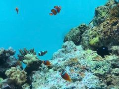 -鹿儿岛水族馆