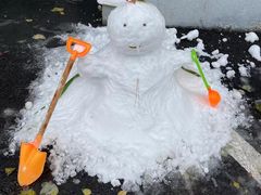 -阿姨来了家政·育儿嫂养老(远洋商务店)