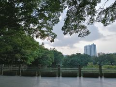 -人民公园(罗湖区)