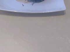 -北戴河转鱼·炒螃蟹酱餐厅