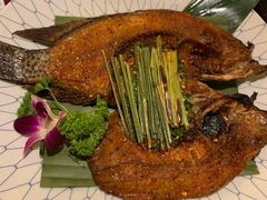 -紫滇源云南生态菜(丹凤街店)