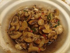 小炒口蘑-眉州东坡(国贸店)