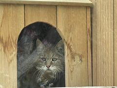 -青藏高原野生动物园