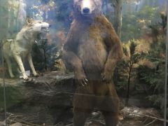 -国家自然博物馆