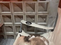 -seeu coffee(江滩店)