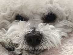 -MOI COFFEE(江山汇悦山府店)