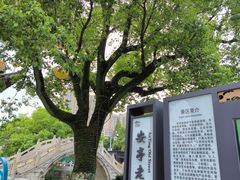 -安亭老街