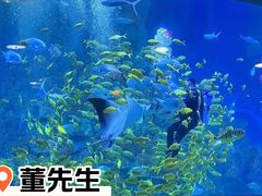 -威海华夏城景区