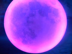 -天津梵高星空艺术馆(天河城旗舰店)