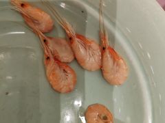 -顺风酒店(长寿路店)