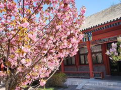 -居庸关长城