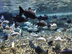 -成都浩海立方海洋公园