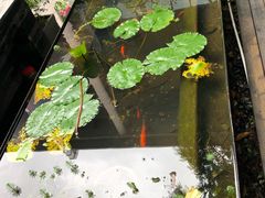 -箱美术馆私房菜(水晶郦城店)