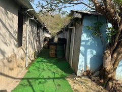 -东湖小天池真人CS彩弹野战基地