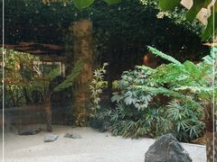 -麒麟中餐厅·经典粤菜·地道菜式老字号(广州长隆酒店)
