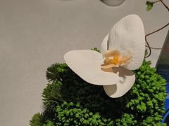 -穿越·外婆家(西溪天堂店)