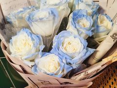 -HONGA HONGA雄家(曹路店)