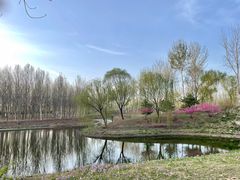 -东郊湿地公园