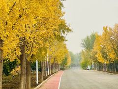 -绿堤公园