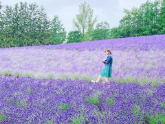 -富田农场
