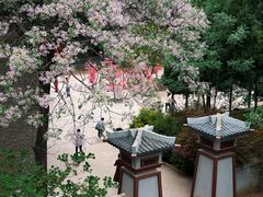 -函谷关历史文化旅游区